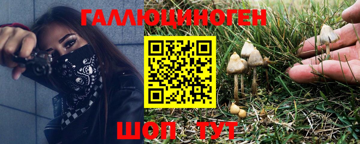 Галлюциногенные грибы MAGIC MUSHROOMS Ярославль